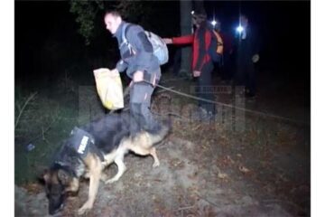 Operațiunile de căutare