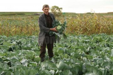 Varză din grădina lui Mătrășoaia