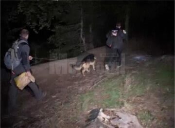 În jur de treizeci de oameni, polițiști, jandarmi, salvamontiști și voluntari, au fost mobilizați în căutarea bărbatului