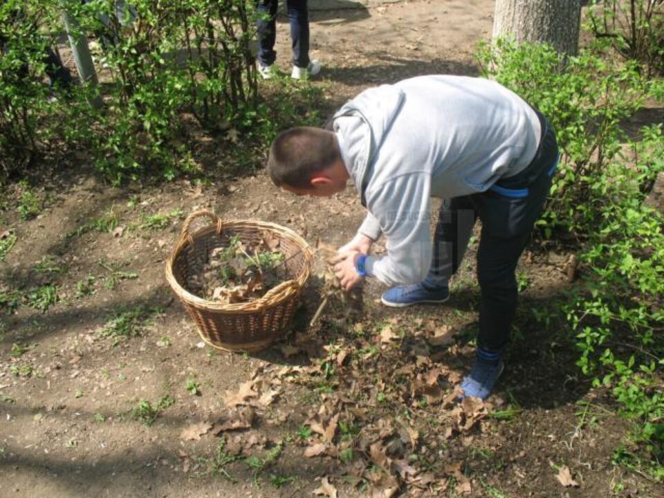 Amplă acțiune de ecologizare, la Rădăuți Amplă acțiune de ecologizare, la Rădăuți