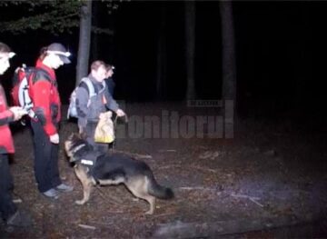 În jur de treizeci de oameni, polițiști, jandarmi, salvamontiști și voluntari, au fost mobilizați în căutarea bărbatului