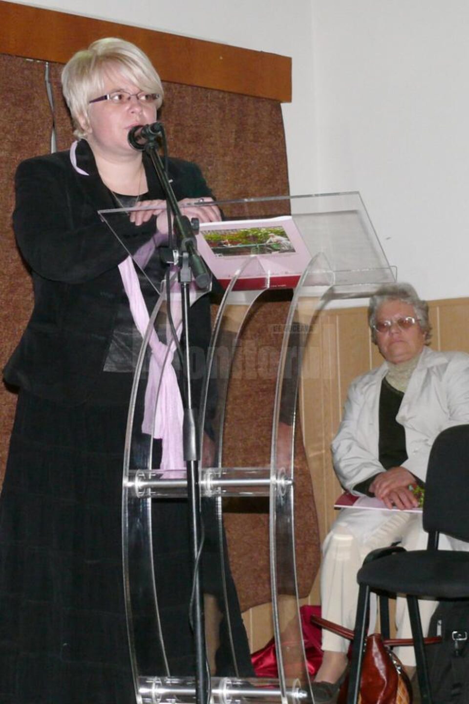 Fălticeniul, inclus între localitățile unde s-a desfășurat Festivalul național de poezie „Nicolae Labiș”