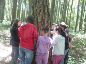 „Învățăm împreună prin joc și voie buna”, proiect desfășurat la o școală din Pătrăuți