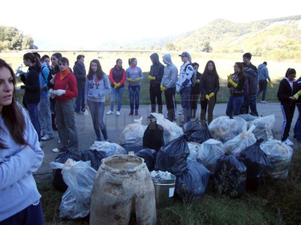 Let`s Do It, Romania! 2013 la Colegiul Alexandru cel Bun