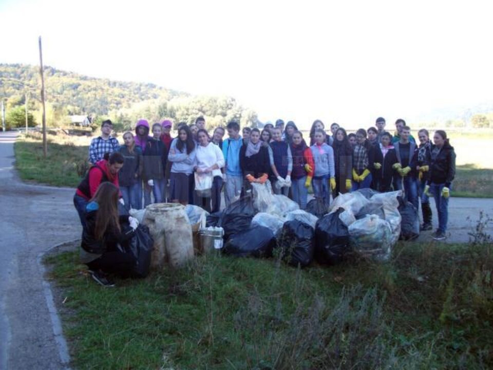 Let`s Do It, Romania! 2013 la Colegiul Alexandru cel Bun