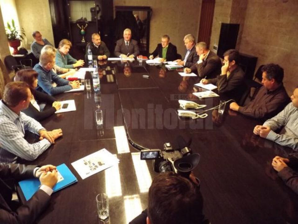 Ședința de stabilire a strategiei de gestionare a câinilor vagabonzi