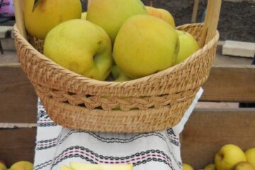A X-a ediție a „Târgului Mărului”