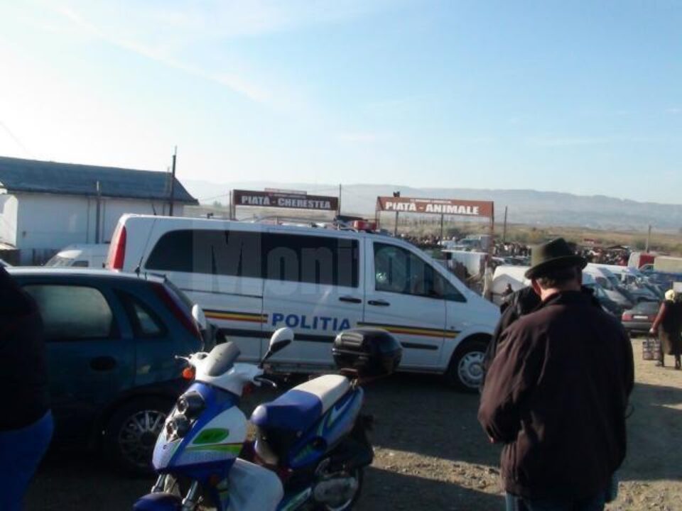 Acțiune de amploare pentru combaterea infracționalității silvice și economice în târgul de la Verești