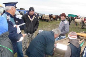 Plăcuțe reflectorizante împărțite de polițiști căruțașilor