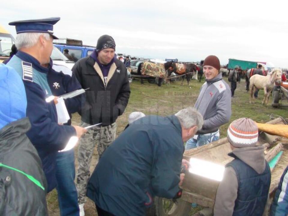 Polițiștii au montat deja primele plăcute reflectorizante