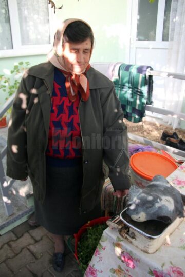 Pus pe cântar, bolovanul aterizat în lanul de porumb are 6,5 kilograme, fără bucățile desprinse din el cu barosul