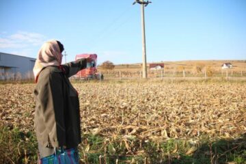 Locul în care au găsit meteoritul, în urma cu 25 de ani