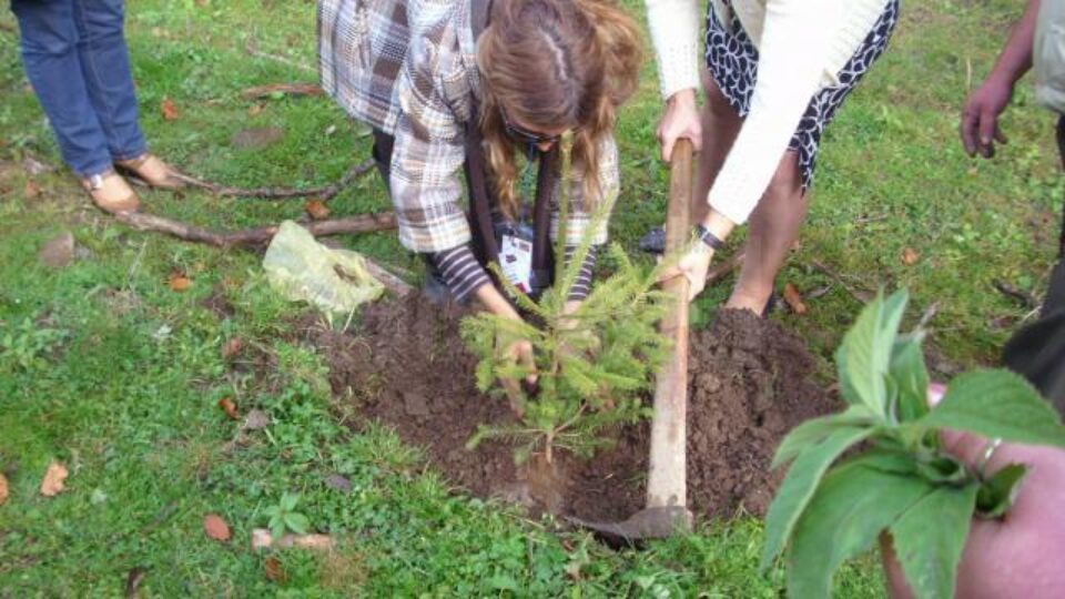 La Școala Gimnazială Ostra au avut loc mai multe activități în cadrul Proiectului Comenius Taking Education Outdoors