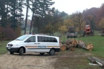 Descinderile poliției de ieri dimineață fac parte dintr-o amplă acțiune de combatere a delictelor silvice