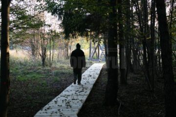 Împărăția mistreților, la Marginea