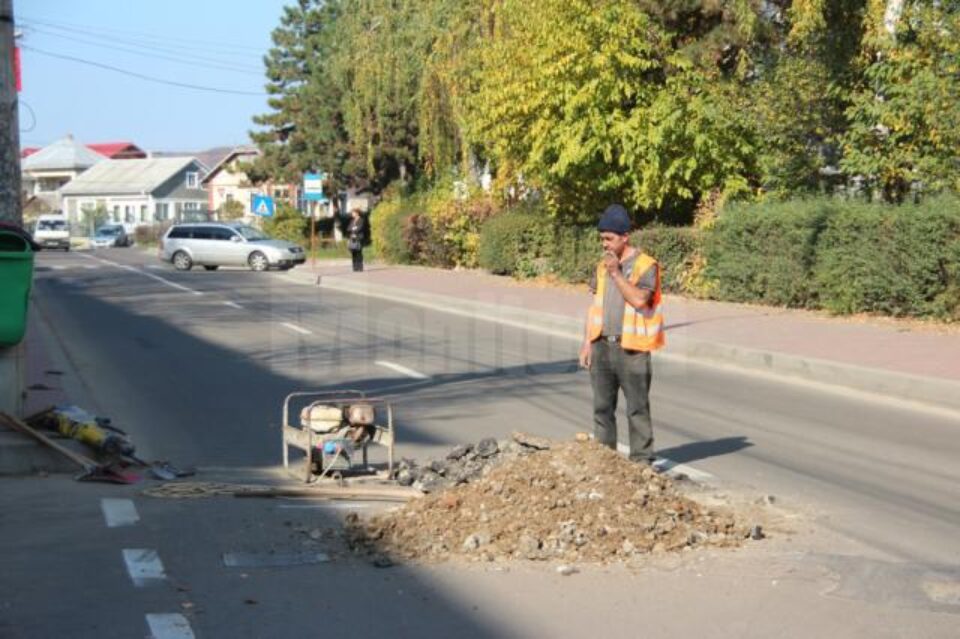 Lucrarea nu a fost semnalizată în nici un fel