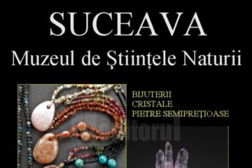 Expoziția „Mineralia Suceava”