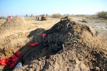 Deșeuri de anvelope și curele uzate au fost îngropate pe malul râului Suceava