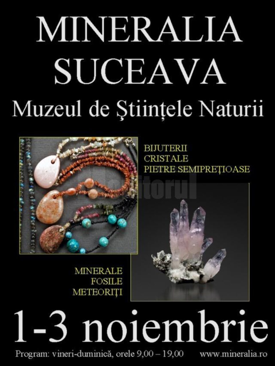Expoziția „Mineralia Suceava”
