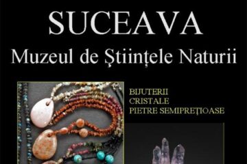 Expoziția „Mineralia Suceava”
