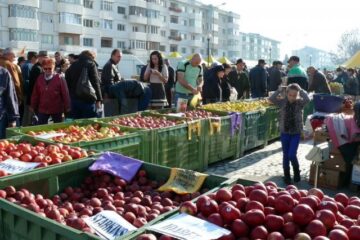 La Fălticeni sărbătoarea recoltei este o sărbătoare a mărului