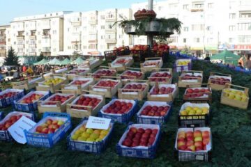 La Fălticeni sărbătoarea recoltei este o sărbătoare a mărului