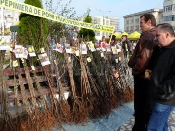 La Fălticeni sărbătoarea recoltei este o sărbătoare a mărului