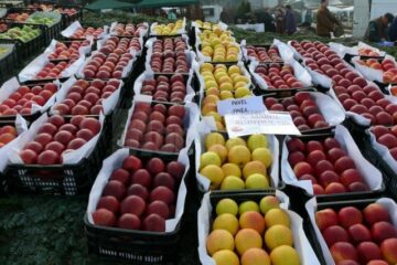 La Fălticeni sărbătoarea recoltei este o sărbătoare a mărului