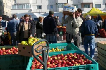 La Fălticeni sărbătoarea recoltei este o sărbătoare a mărului
