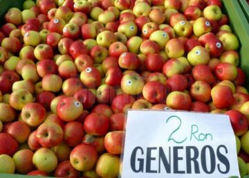 La Fălticeni sărbătoarea recoltei este o sărbătoare a mărului