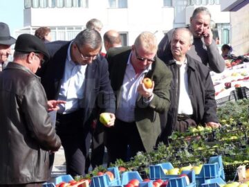 La Fălticeni sărbătoarea recoltei este o sărbătoare a mărului