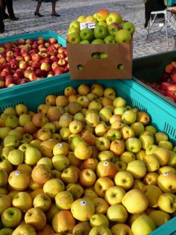 La Fălticeni sărbătoarea recoltei este o sărbătoare a mărului