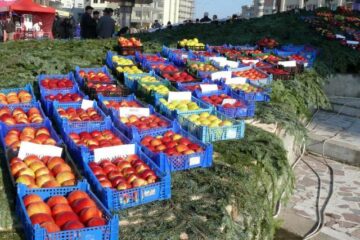 La Fălticeni sărbătoarea recoltei este o sărbătoare a mărului