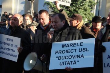 Câteva sute de persoane au participat la protestul organizat de PDL