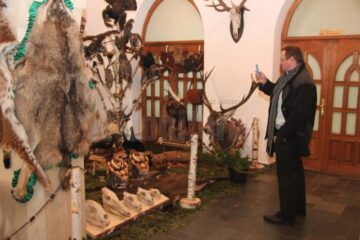 Muzeu cinegetic amenajat pe holurile Direcției Silvice Suceava