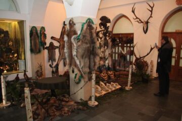Muzeu cinegetic amenajat pe holurile Direcției Silvice Suceava