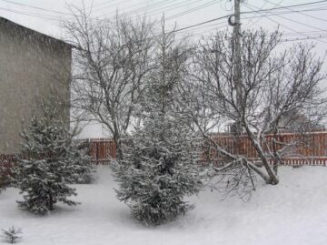 Stratul de zăpadă atinge deja câțiva centimetri în zona de munte a județului Suceava