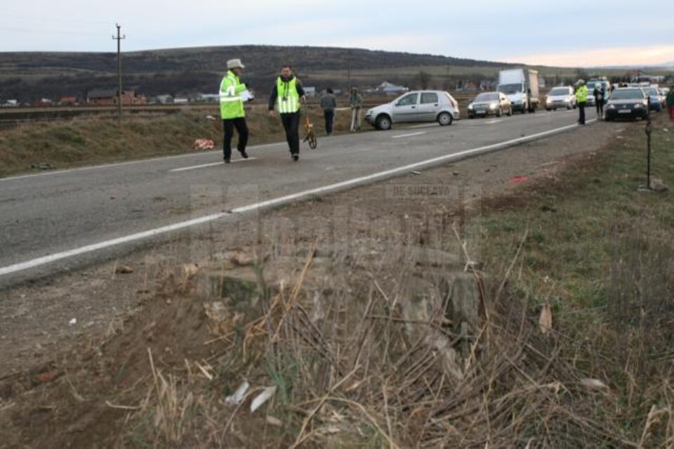 Cioata de copac în care s-a izbit mașina