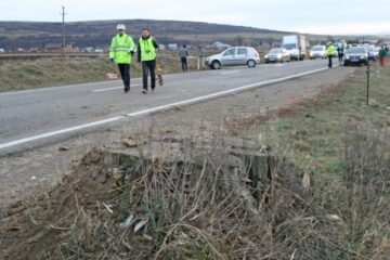 Autoturismul scăpat de sub control a lovit acest ciot de copac