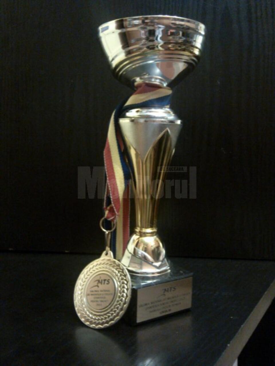 Premiul III obbținut la Salonul Național de Inventică și Creație Științifică 2013