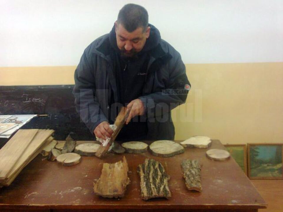 Traian Seserman face pictură pe scoarță de copac și pe felii de lemn