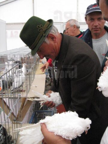 Sucevenii, invitați la o expoziție de păsări și mamifere mici de curte