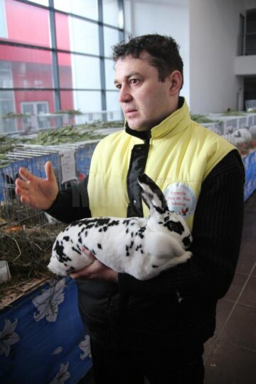 Expoziția de păsări și mamifere mici poate fi vizitată până duminică, la ora 14.00, la Complexul Orizont 2000 din Burdujeni