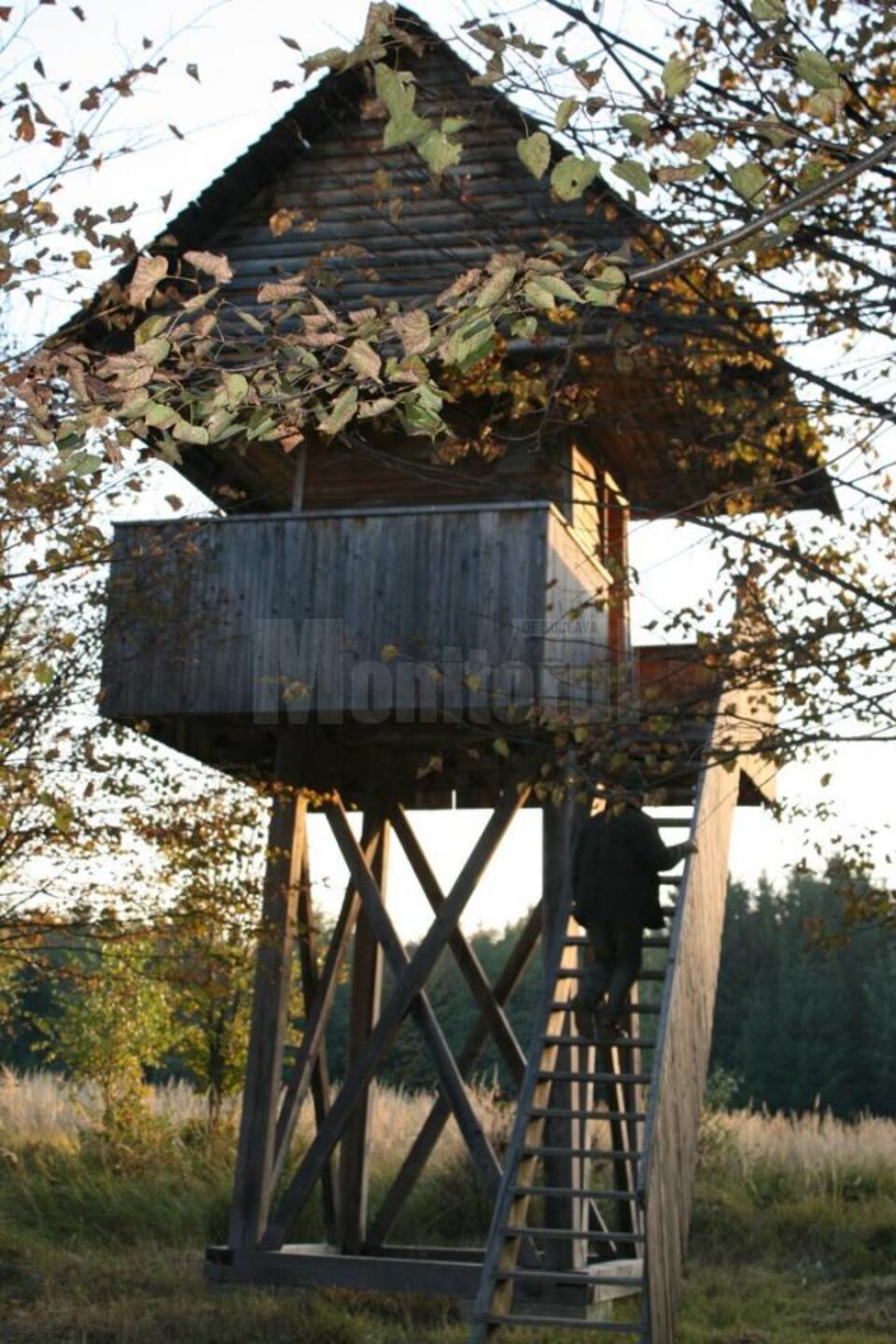 Observator de vânătoare