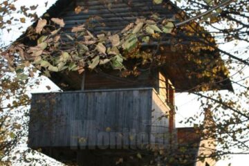 Observator de vânătoare