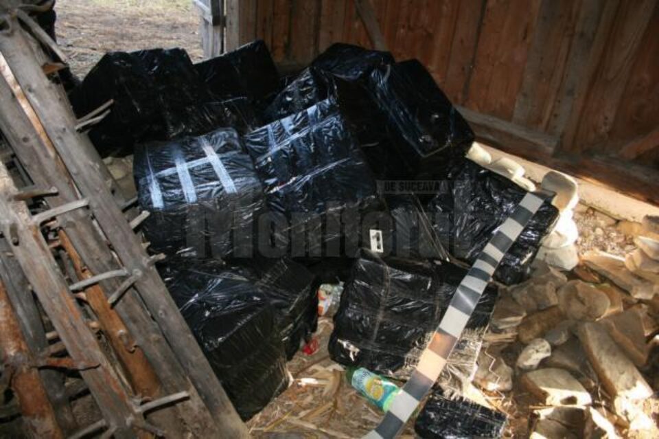 În șura lui Ioan Bodnari au fost găsite nu mai puțin de 14.072 de pachete de țigări de contrabandă În șura lui Ioan Bodnari au fost găsite nu mai puțin de 14.072 de pachete de țigări de contrabandă