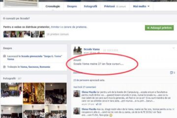 Postările profesoarei din Vama au fost șterse luni, după ce directorul unității a fost informat asupra acestui aspect