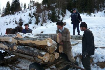 Acțiune pe linia prevenirii și combaterii delictelor silvice