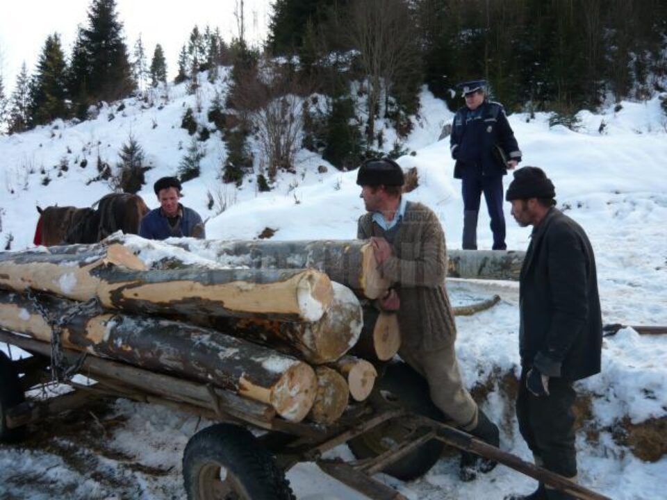 Acțiune pe linia prevenirii și combaterii delictelor silvice