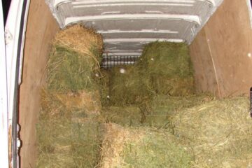 Țigări de contrabandă găsite în baloți de lucernă